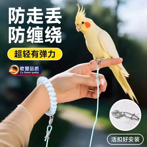 英国鹦鹉牵引绳超轻训练放飞绳子