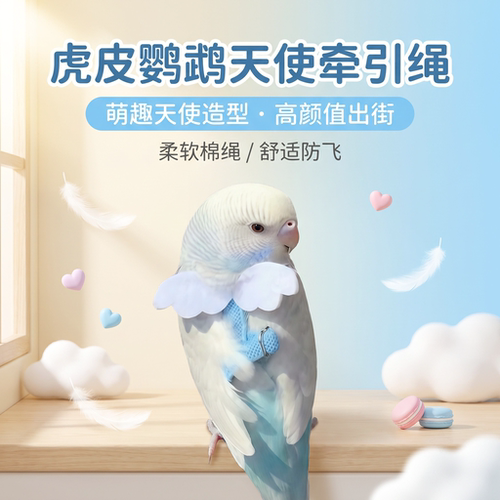 英国鹦鹉牵引绳外出溜弯鸟放飞绳