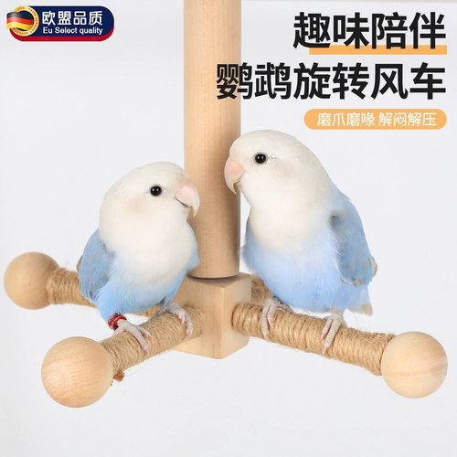 英国鹦鹉站杆旋转风车杆解闷自嗨