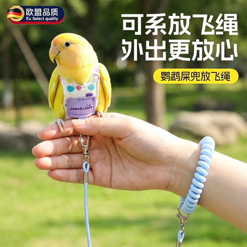 英国鹦鹉衣服鹦鹉屎尿兜外出防丢