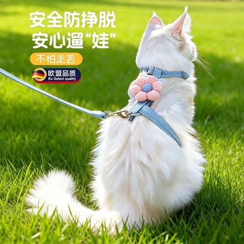 英国猫咪牵引绳防挣脱不勒脖遛猫