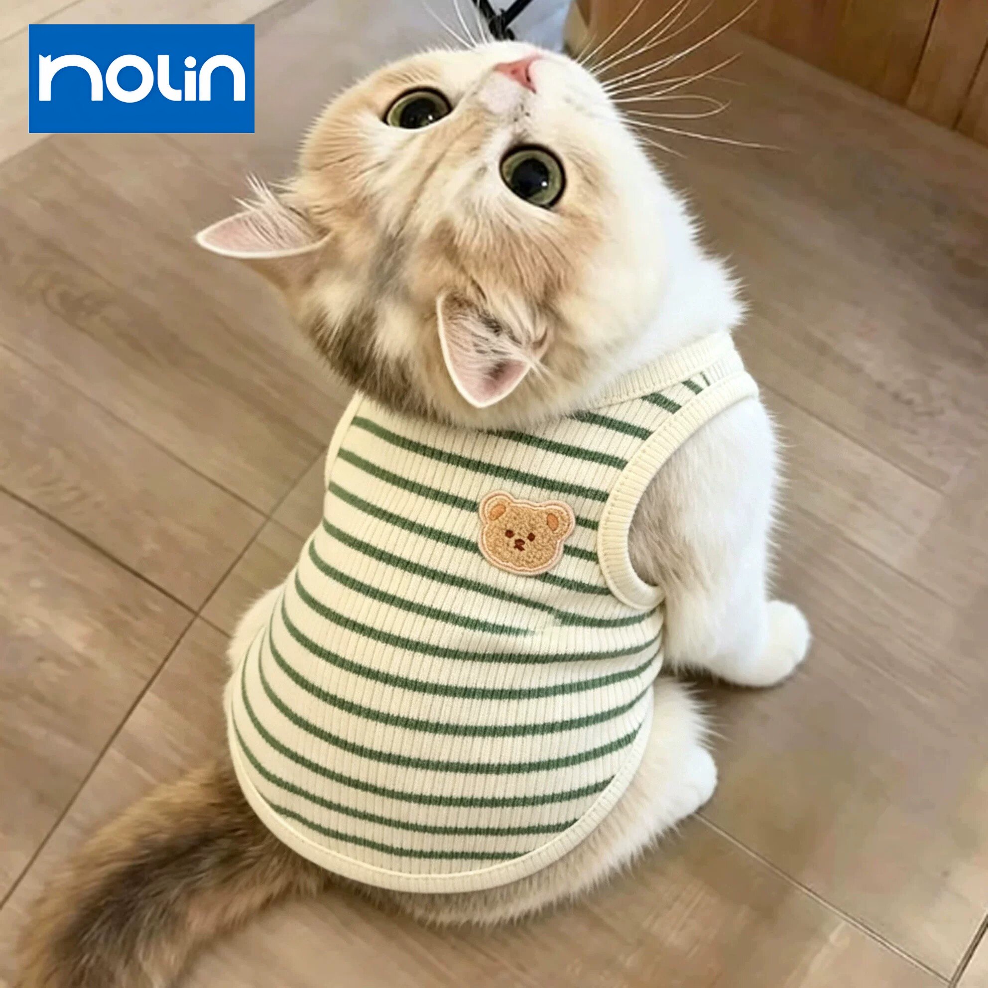 猫咪衣服秋冬款保暖条纹防掉毛幼猫护肚子可爱宠物服饰背心打底衫