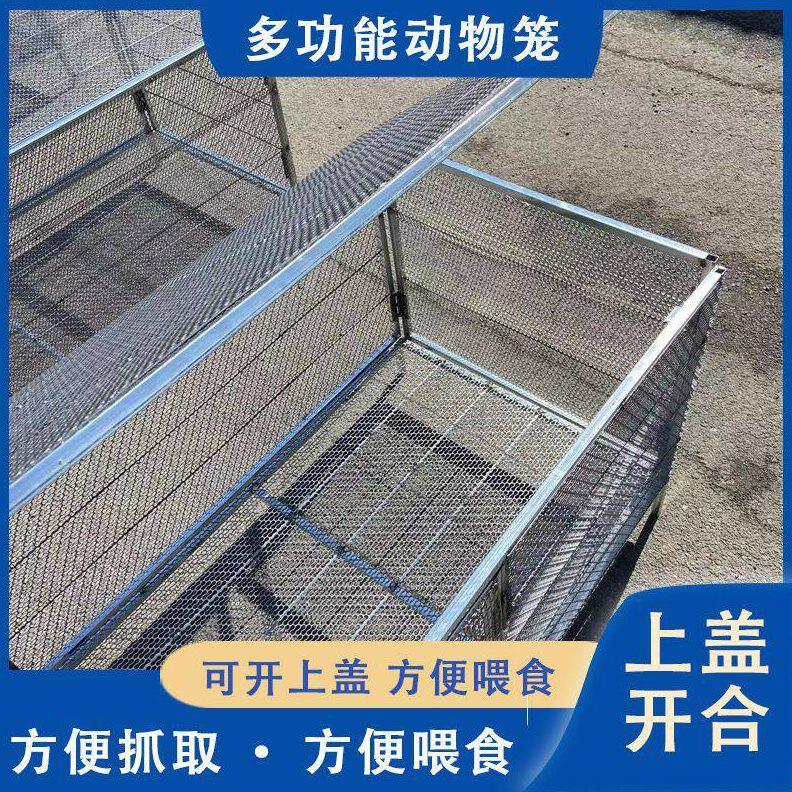 甄选鸡笼子家用养殖加密鸡笼子防鼠防黄鼠狼防蛇链条钢网加厚设计