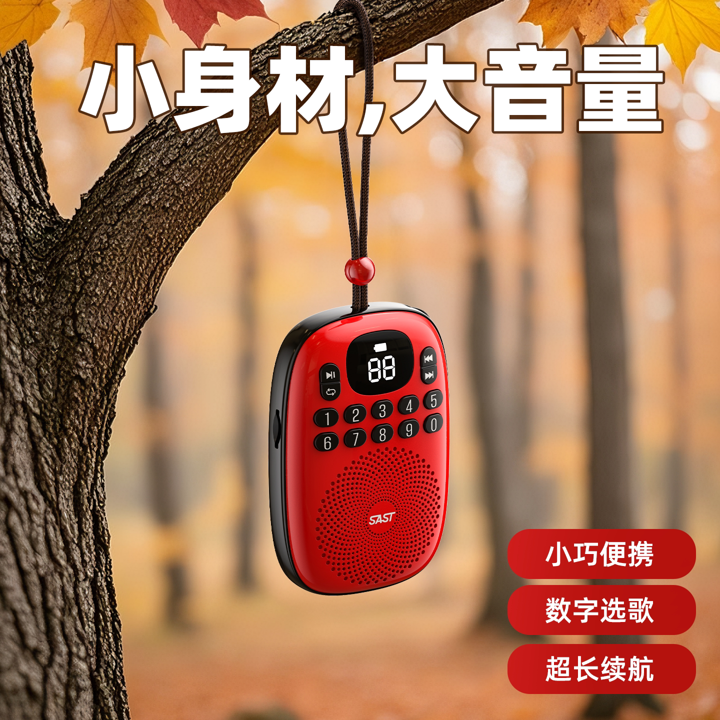 Xianke V15 radio və Bluetooth musiqi pleyeri, kart yuvası
