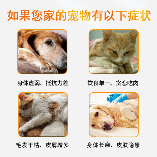 荣佳润猫咪复合维生素片狗狗维生素b营养补充宠物用猫多维防掉毛