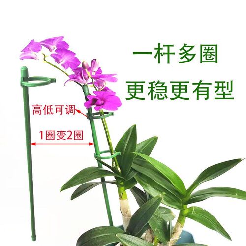 植物支撑杆防倒固定卡扣爬藤多肉龟背竹番茄西红柿辣椒吊兰花架