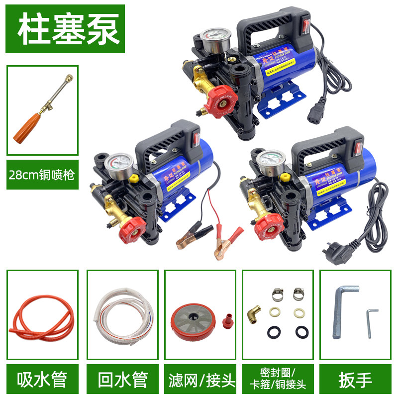 隆迈手提12v24v48v60v220v农用高压双缸柱塞打药机果树电动喷雾泵