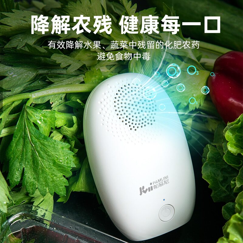 帕慕尼双用电源除味除菌器 臭氧空气净化冰箱保鲜净味神器