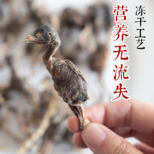 江小傲猫咪零食小鹌鹑猫冻干零食幼猫成猫营养磨牙洁齿宠物冻干
