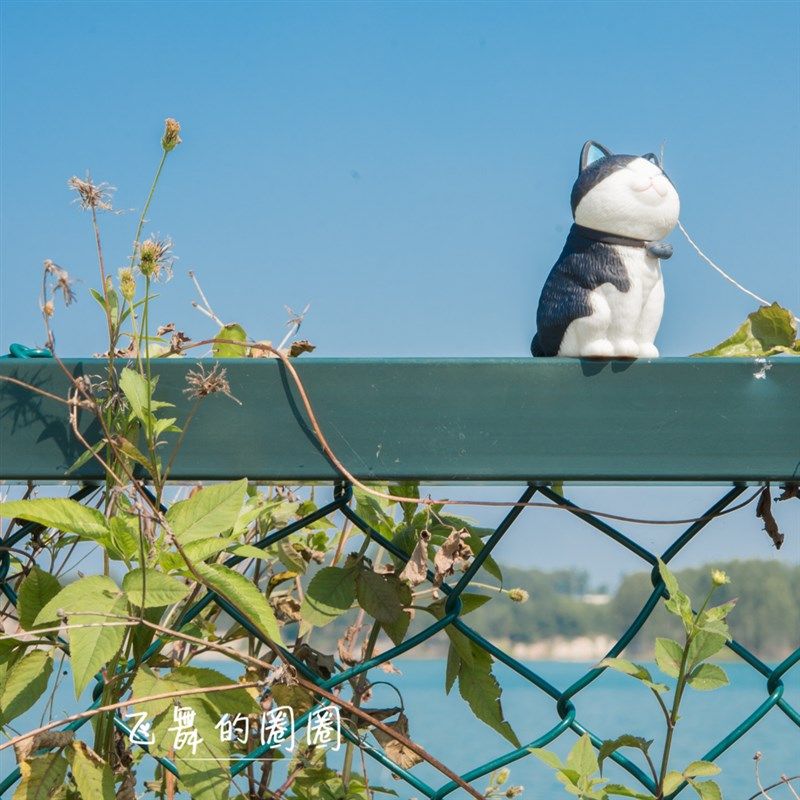 铃铛猫手办可爱动物猫咪公仔模型玩具装饰摆件套装办公室桌面礼物