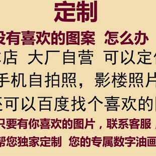 数字油画diy油彩画荷花家大业大花卉手绘涂色和气生财装饰画客厅
