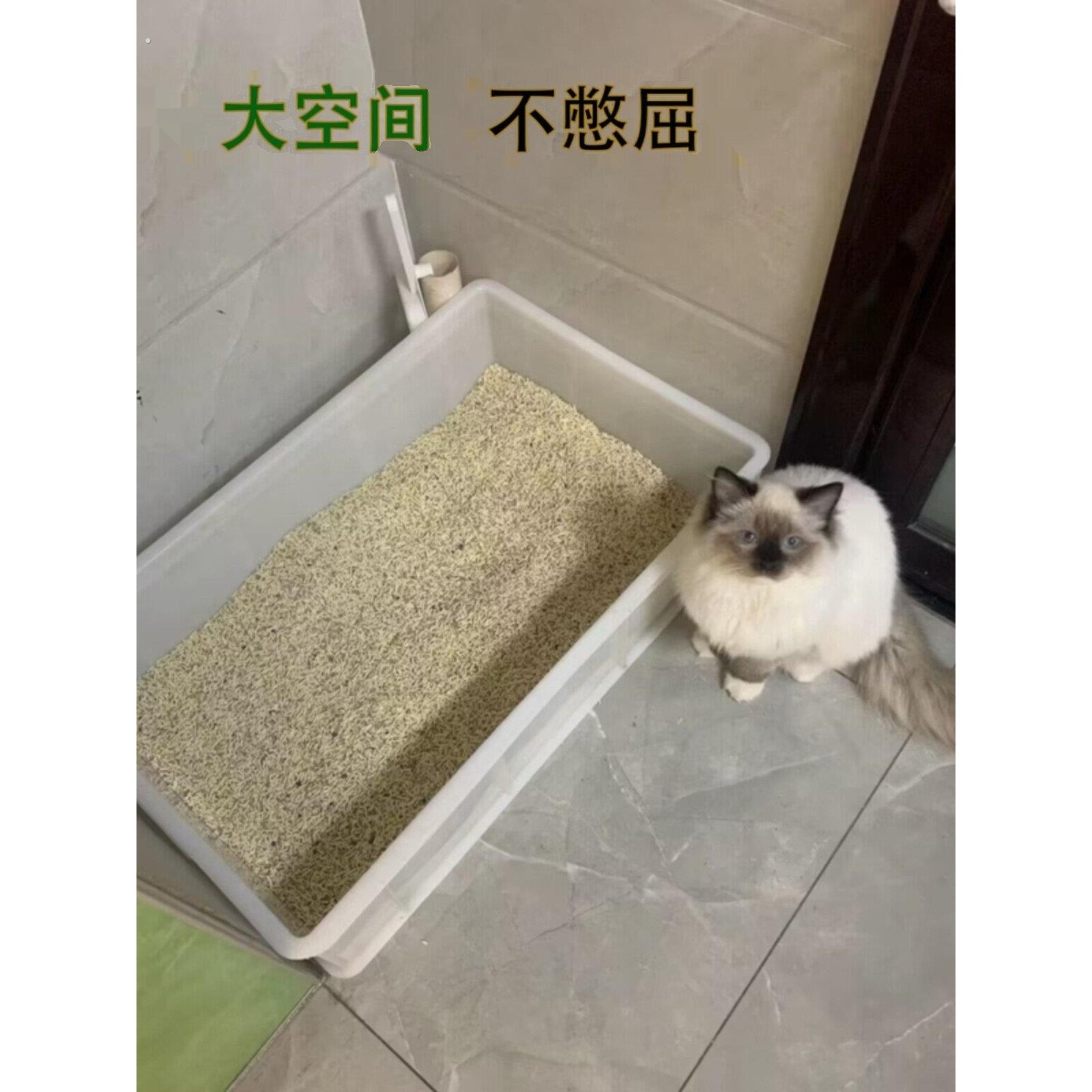 缅因州猫容器猫砂盒完全打开超大翻转箱巨型超大猫厕所