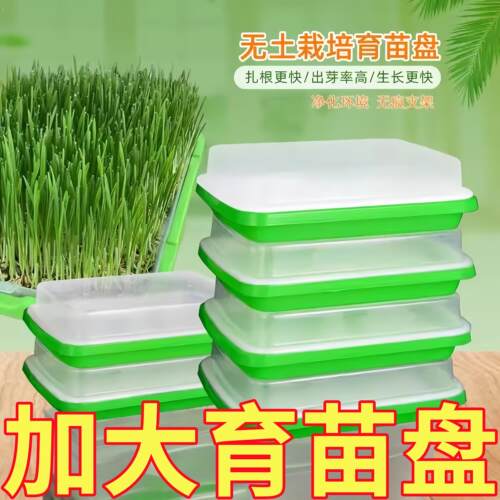 加密加厚育苗蔬菜盘盆芽苗菜水培网格豌豆苗豆芽种植盘阳台小菜园