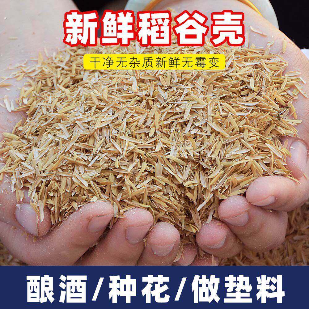 稻壳垫料新鲜谷壳粗糠米糠喂鸡宠物芦丁鸡垫料枕头芯填充酿酒饲料
