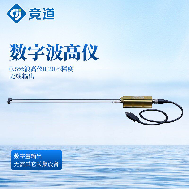 竞道光电浪高仪