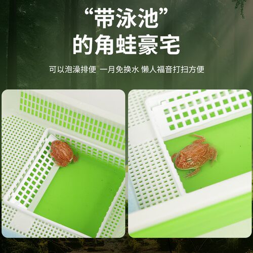 角蛙饲养盒饲养箱造景角蛙乌龟蝾螈缸两栖专用带晒台生化棉保湿