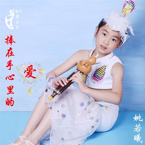 孔雀公主云南葫芦丝 专业演奏型紫竹 c调 降b f 学生成人初学乐器