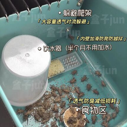 蟋蟀饲养箱杜比亚通风透气款饲养架子蟑螂油葫芦白蛐蛐专用养殖箱