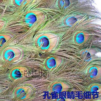孔雀羽毛扇子装饰扇礼品扇客厅背景墙挂件羽毛挂扇书乔迁送礼品