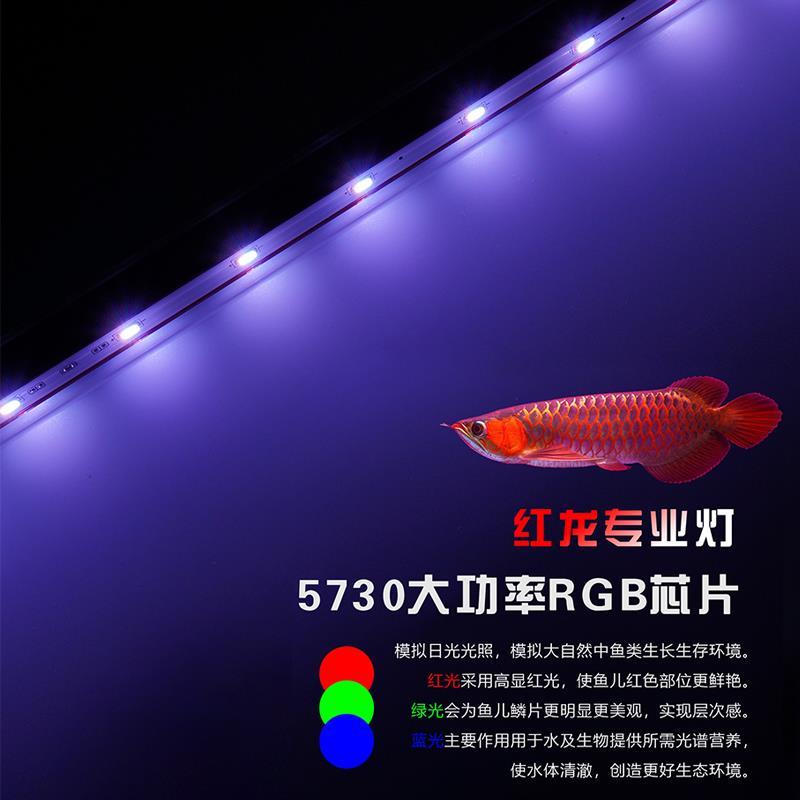 博特鱼缸灯LED潜水灯防水族箱三基色照明增色管小型鹦鹉红龙鱼灯