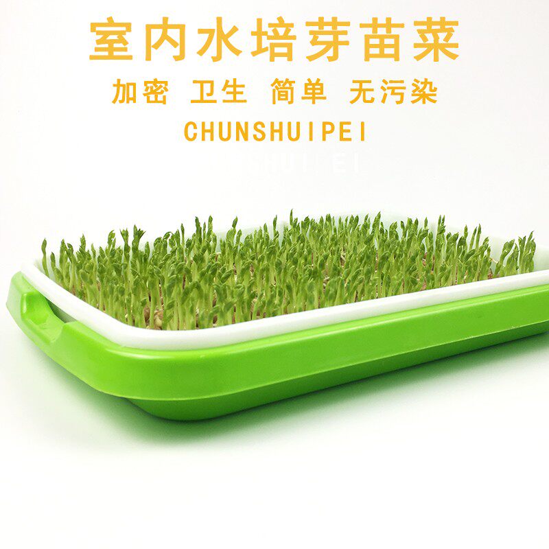 小麦苗种植盘家用芽苗菜育苗盘无土栽培设备水培蔬菜盆豆芽菜托盘