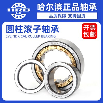 哈尔滨圆柱滚子轴承NU NJ 312 313 314 315 316 317 318 319 EM
