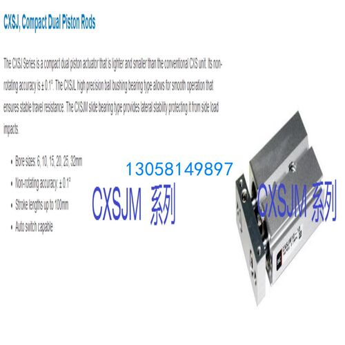 CXSJM10P-10   CXSJM10P-20  CXSJM10P-30  SCM 全新正品双轴