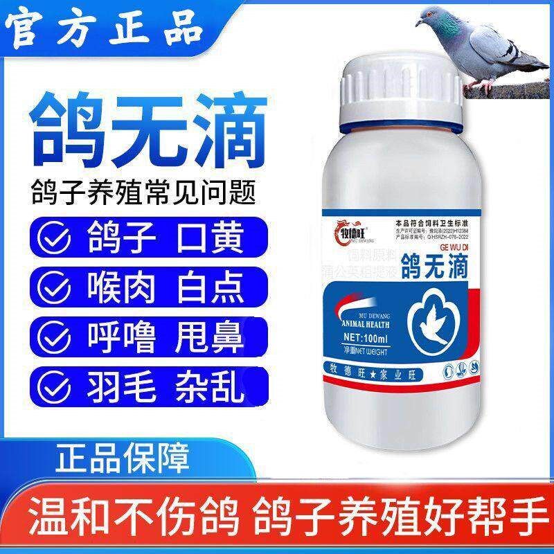 鸽无滴鸽用毛滴净赛鸽毛滴虫球虫鸽子喉内白点水绿便拉稀鸽子常备