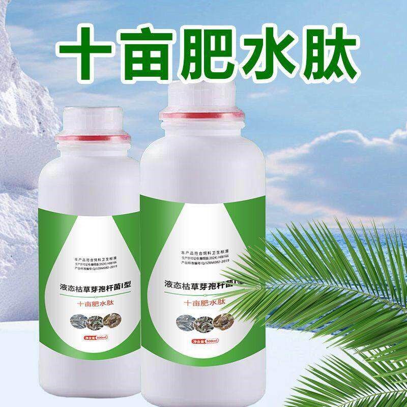 鱼塘快速肥水培藻专用十亩肥水肽水产养殖低温肥水鱼虾蟹育苗猛长