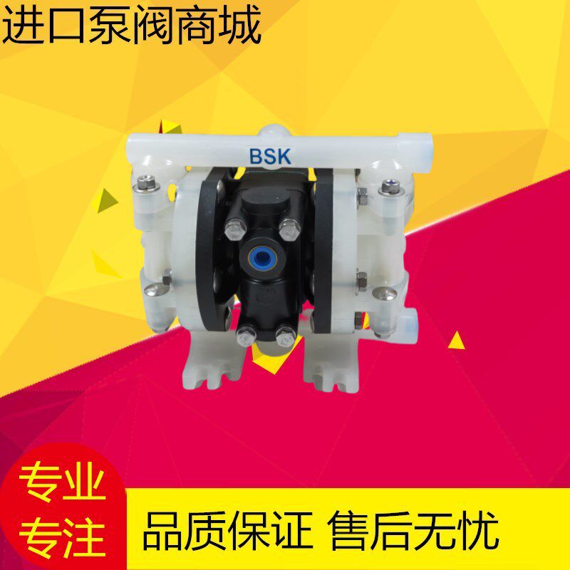 美国BSK派莎克气动隔膜泵 BP06PP系列BP06PP-PTT4/P991-B污水油漆