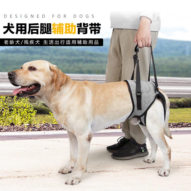 跨境热销宠物用品受伤狗狗后腿辅助背带老龄受伤犬康复带辅助