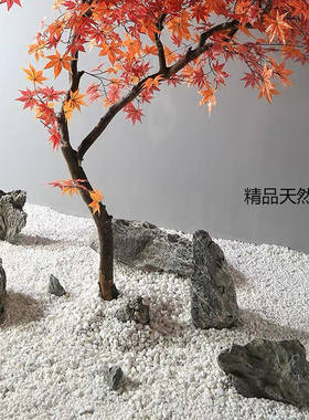 白石子装饰松树多肉花盆铺地园林枯山水白色小石头造景装饰