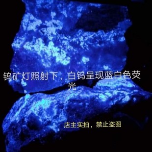 钨矿灯 钨矿探矿灯 找白钨灯 荧光探照紫外 充电式检测仪