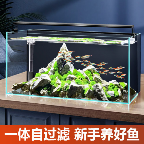 客厅小型鱼缸免换水金鱼缸生态净水循环除油膜超白玻璃背滤桌面缸