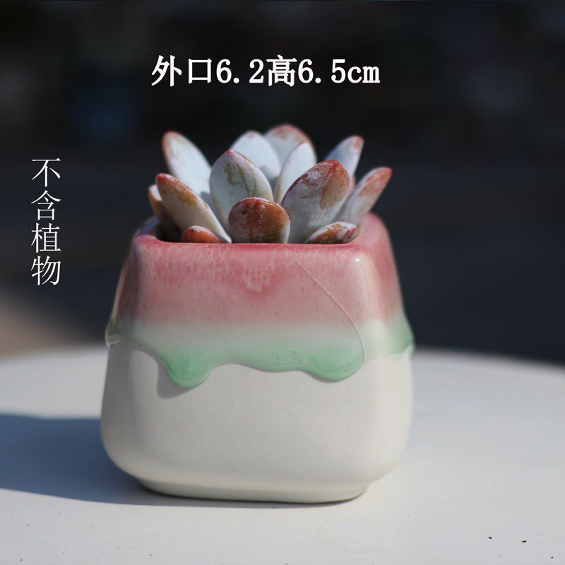 小号多肉冰裂花盆可爱简约拇指粗陶喜光盆陶瓷透气地面