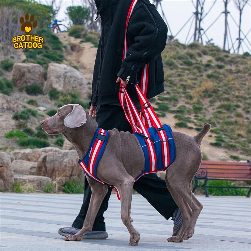 宠物狗狗后腿辅助带中大型老年犬残疾瘫痪助力行走路前肢康复背带