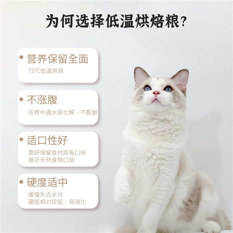 兽医张旭猫粮烘焙高蛋白成猫幼猫鹿肉无谷高肉含量干粮全价粮