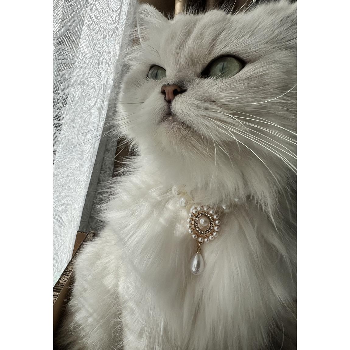 宠物猫咪狗狗宝石项圈覆古珍珠项炼 炼 德文俄蓝配饰首饰猫狗通用