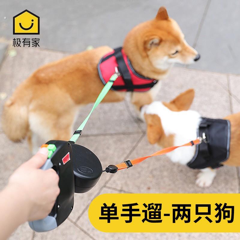 一拖二狗狗牵引绳自动伸缩双头遛狗绳溜狗炼子中型小型犬宠物用品