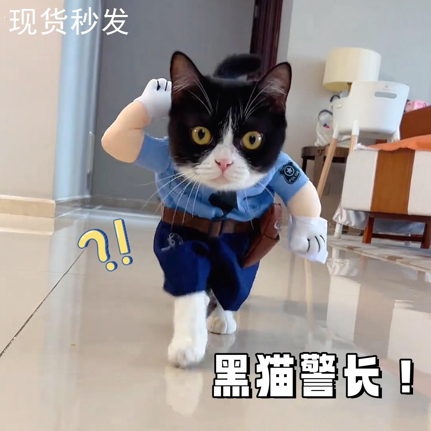 猫猫警官制服夏季猫咪搞怪衣服宠物狗狗搞笑变身装小型犬创意服饰