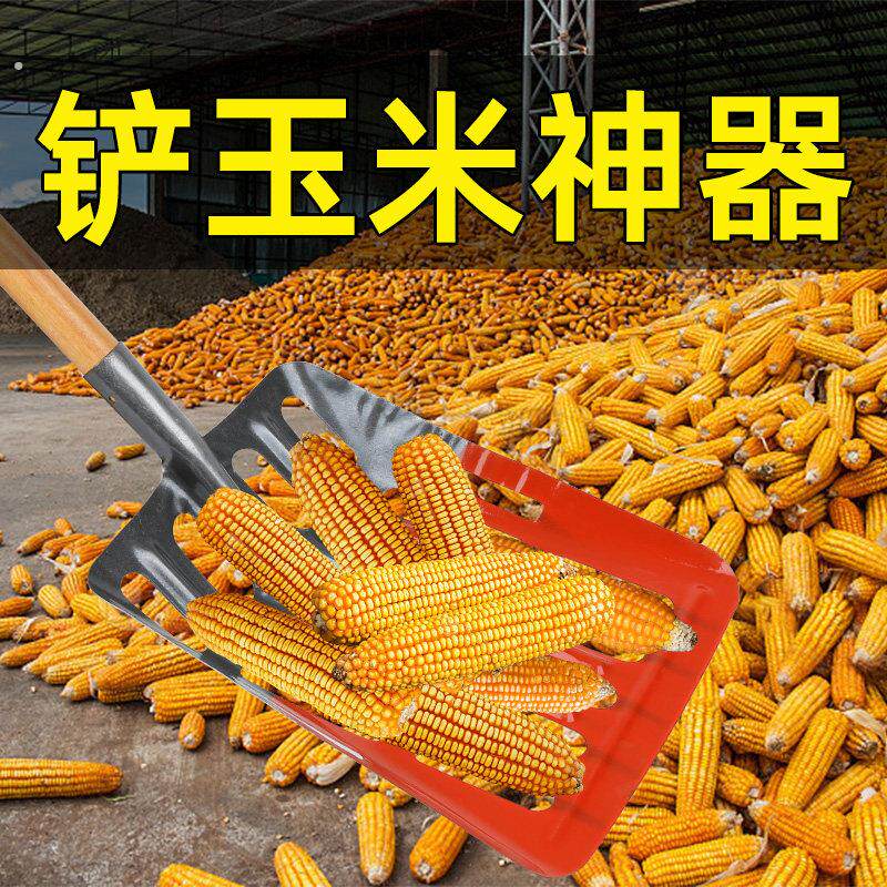 收玉米专用空心铁锹玉米棒芯圆头平头加厚特大号锰钢漏眼锹玉米铲