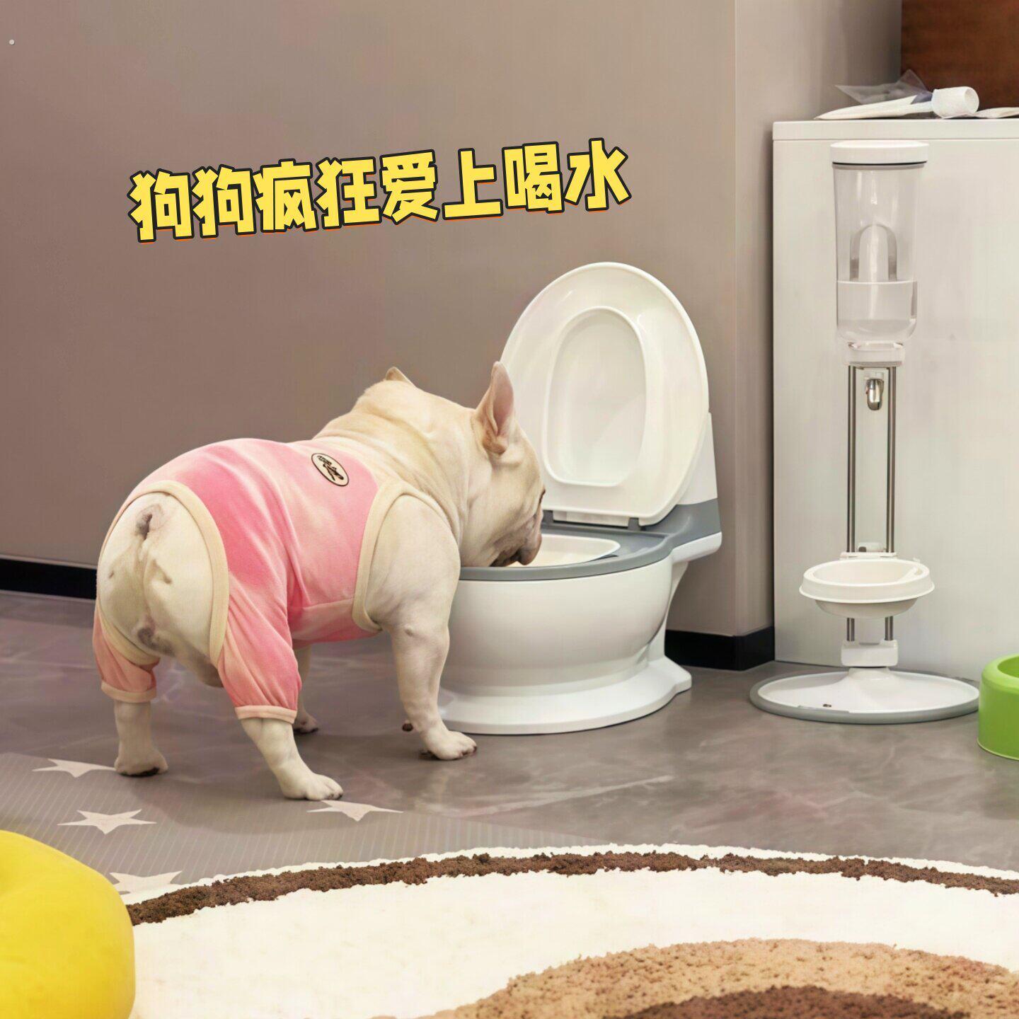 宠物专用马桶饮水器狗狗大容量喝水碗水盆猫咪大口径防打翻饮水机
