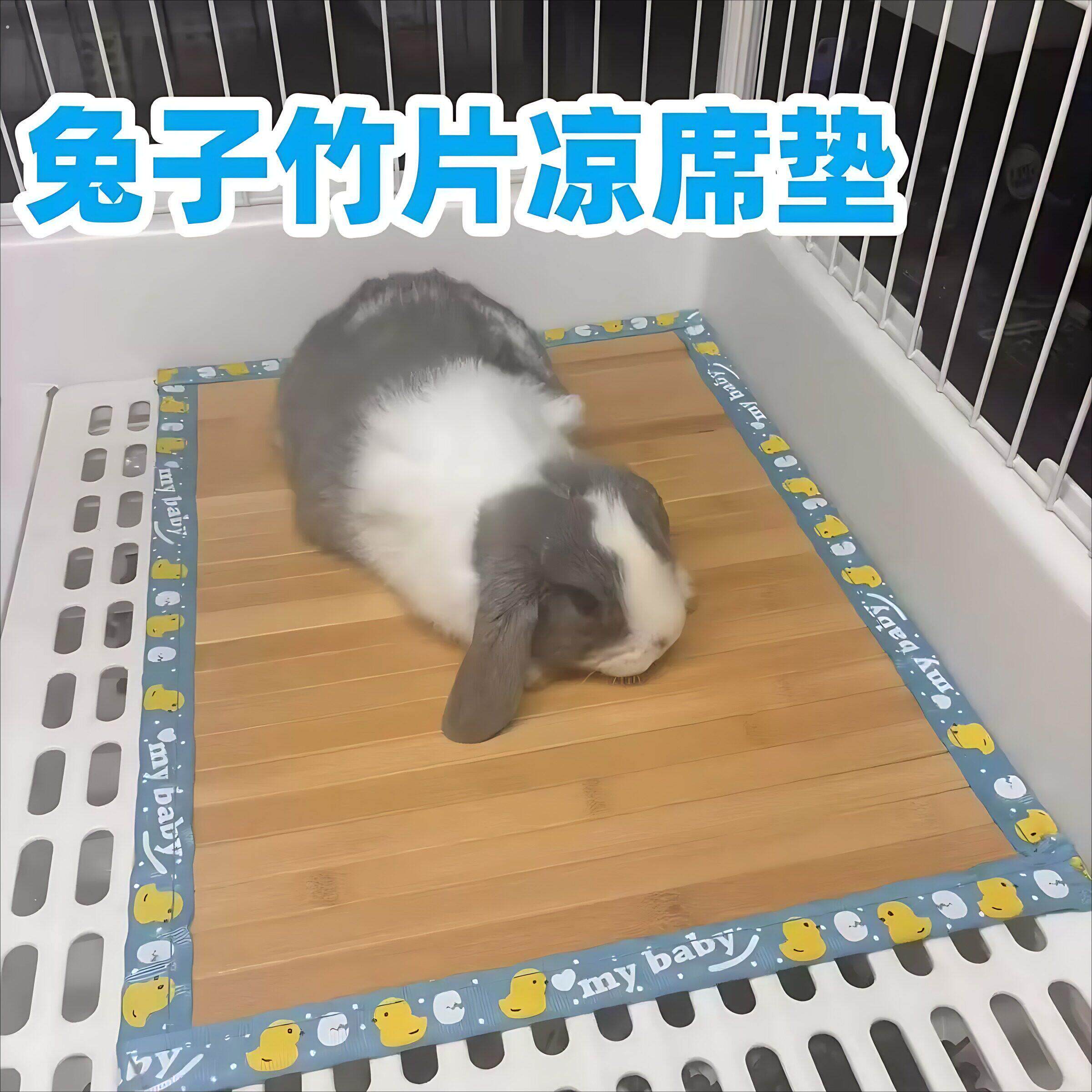 兔子凉席垫夏天降温消暑可拆洗竹席垫子龙猫荷兰猪小宠通用