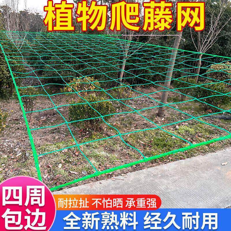 植物百香果爬藤网攀爬网瓜蒌葡萄丝瓜吊瓜豆角网黄瓜种植网搭架网