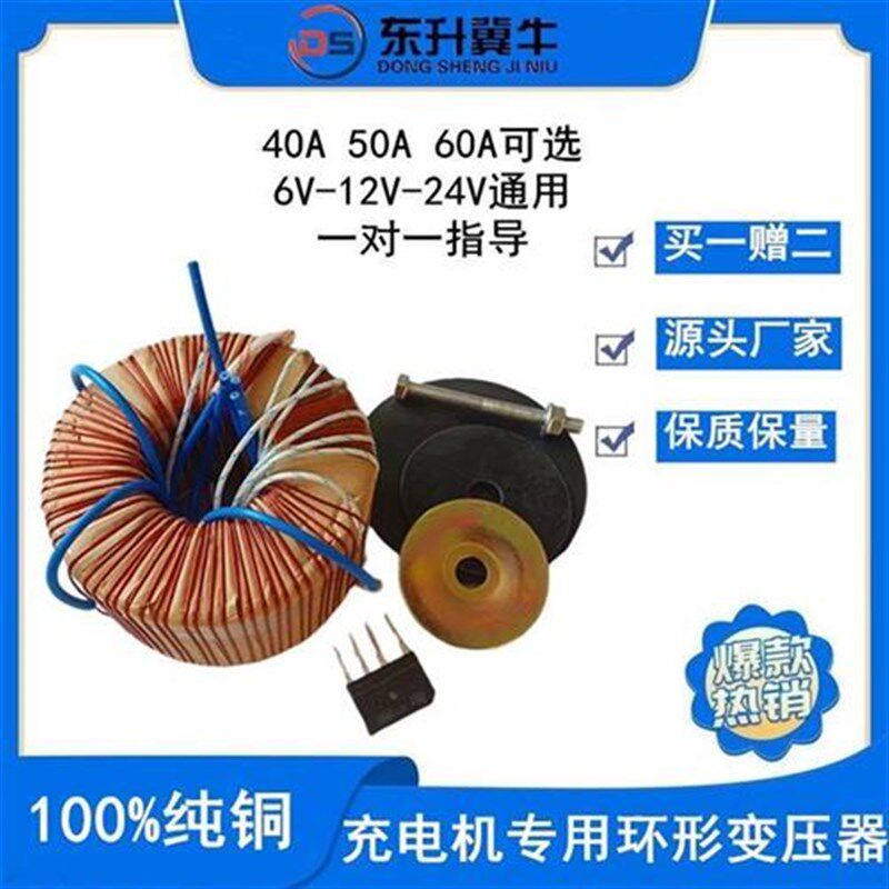 汽车电瓶40A50A60A充电机专用环形变压器纯铜线圈6V12V24V通用