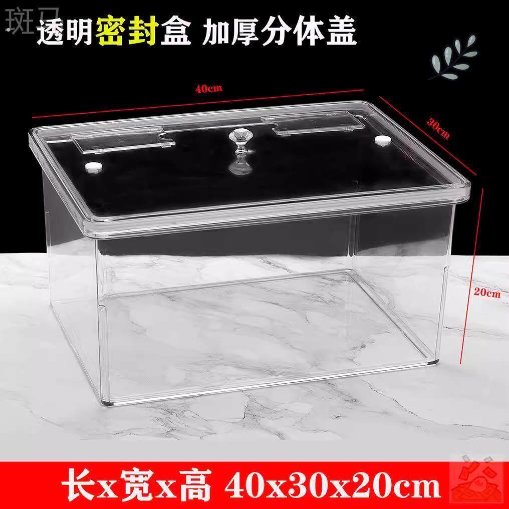 泡菠萝专用缸装卖盐水菠萝的罐子摆摊容器塑料超市货架陈列展示盒