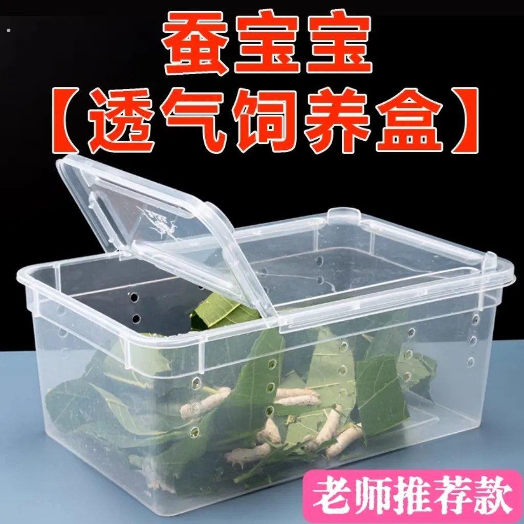 养蚕盒蚕宝宝观察盒蚕宝宝小别墅蚕宝宝养育仓养蚕饲养盒亚力克