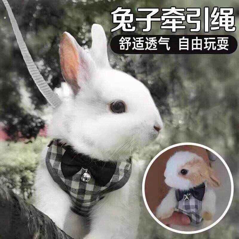 兔子衣服牵引绳外出专用溜兔兔防挣脱遛宠物兔神器可调节拴侏儒兔