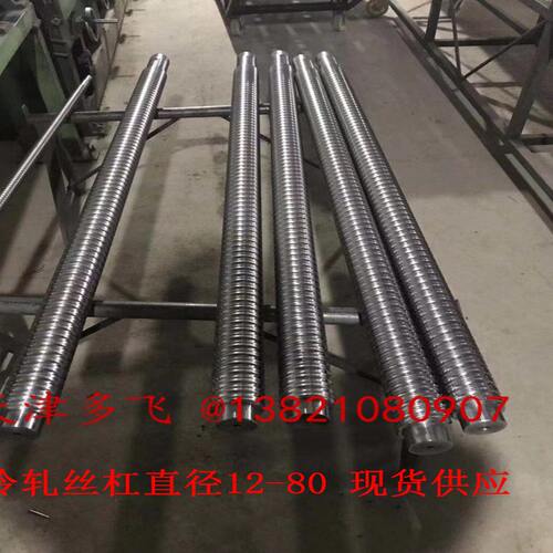 甄选现货供应国产冷轧丝杠 源头厂家 直径12-80 均有现货供应