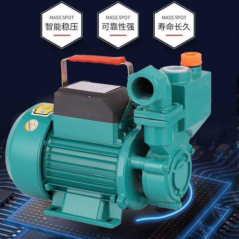 甄选DC12V24V48V太阳能直流自吸泵扬程家用电车抽水机花园电泵